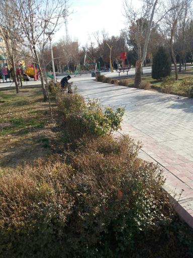 عکس پارک پروین اعتصامی