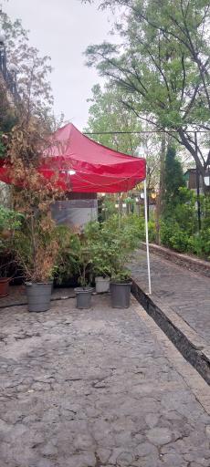 عکس باغ رستوران گل سنگ