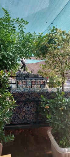 عکس رستوران ورجین