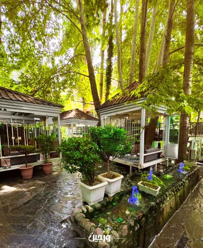 عکس رستوران ورجین