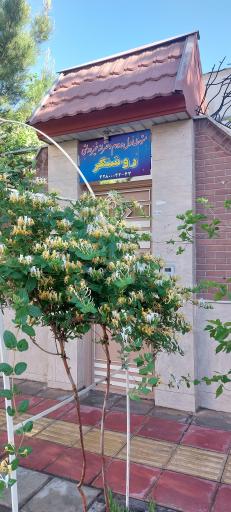 عکس دبیرستان دخترانه غیر انتفاعی روشنگر