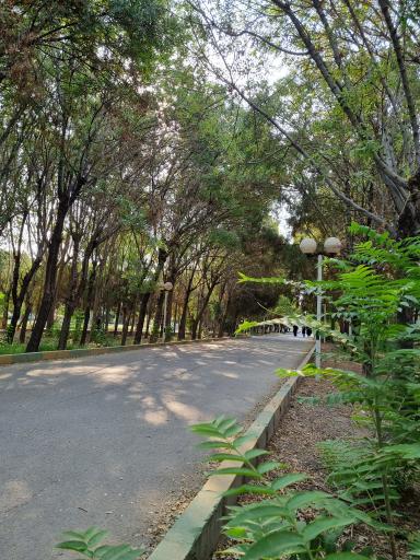 عکس بوستان خانواده