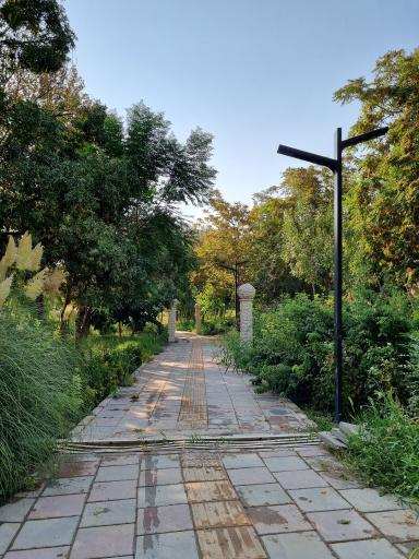 عکس بوستان خانواده