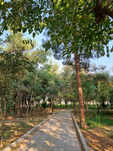 عکس بوستان خانواده