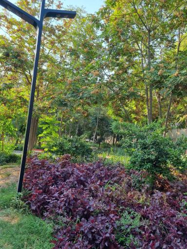 عکس بوستان خانواده