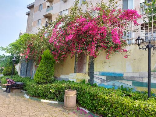 عکس بوستان کتاب