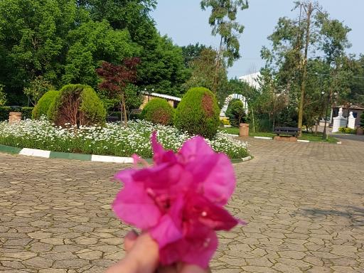 عکس بوستان کتاب