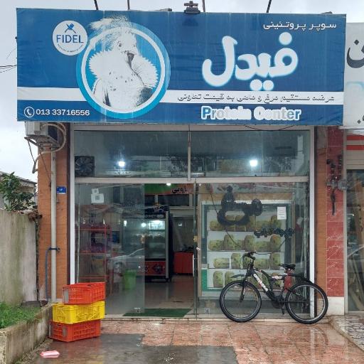 عکس مرغ فیدل