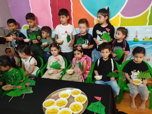 پیش دبستانی و مهد کودک شادونه