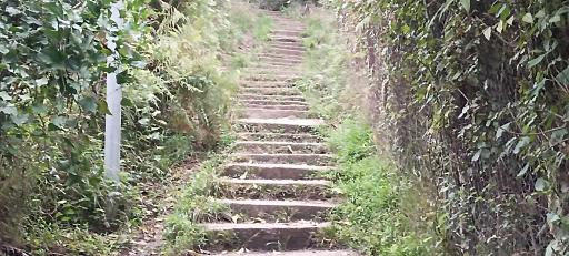 عکس قلعه مارکوه