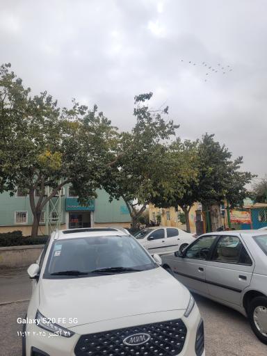 عکس پارک شهربانو بسیج