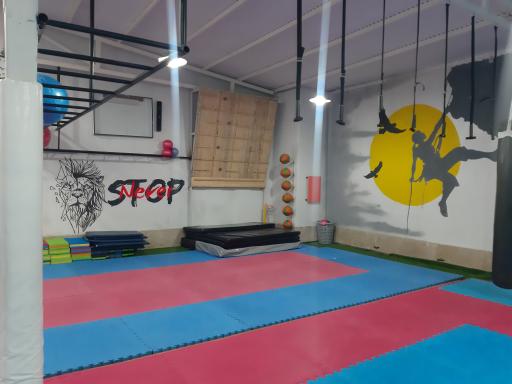 عکس مجموعه ورزشی رزمی و بدنسازی دهکده ورزش