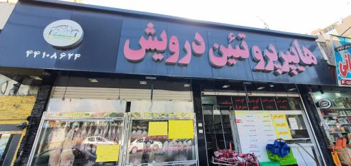 عکس هایپر پروتئین درویش