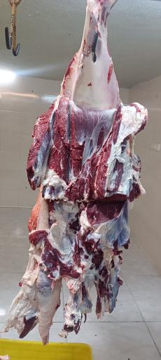 عکس قصابی شکوهمند