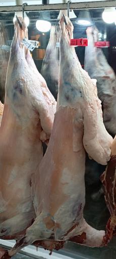 عکس قصابی شکوهمند