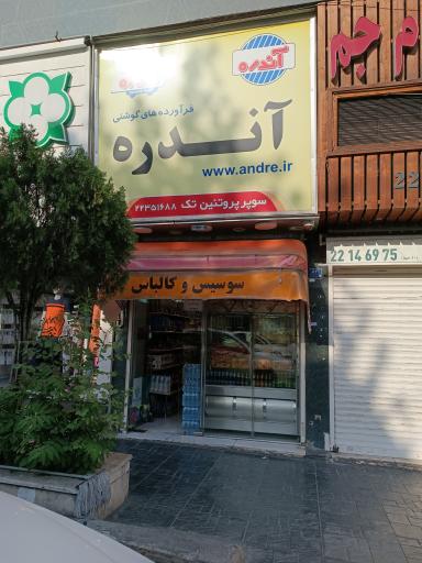 عکس پروتئین آندره