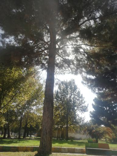 عکس پارک 15 خرداد