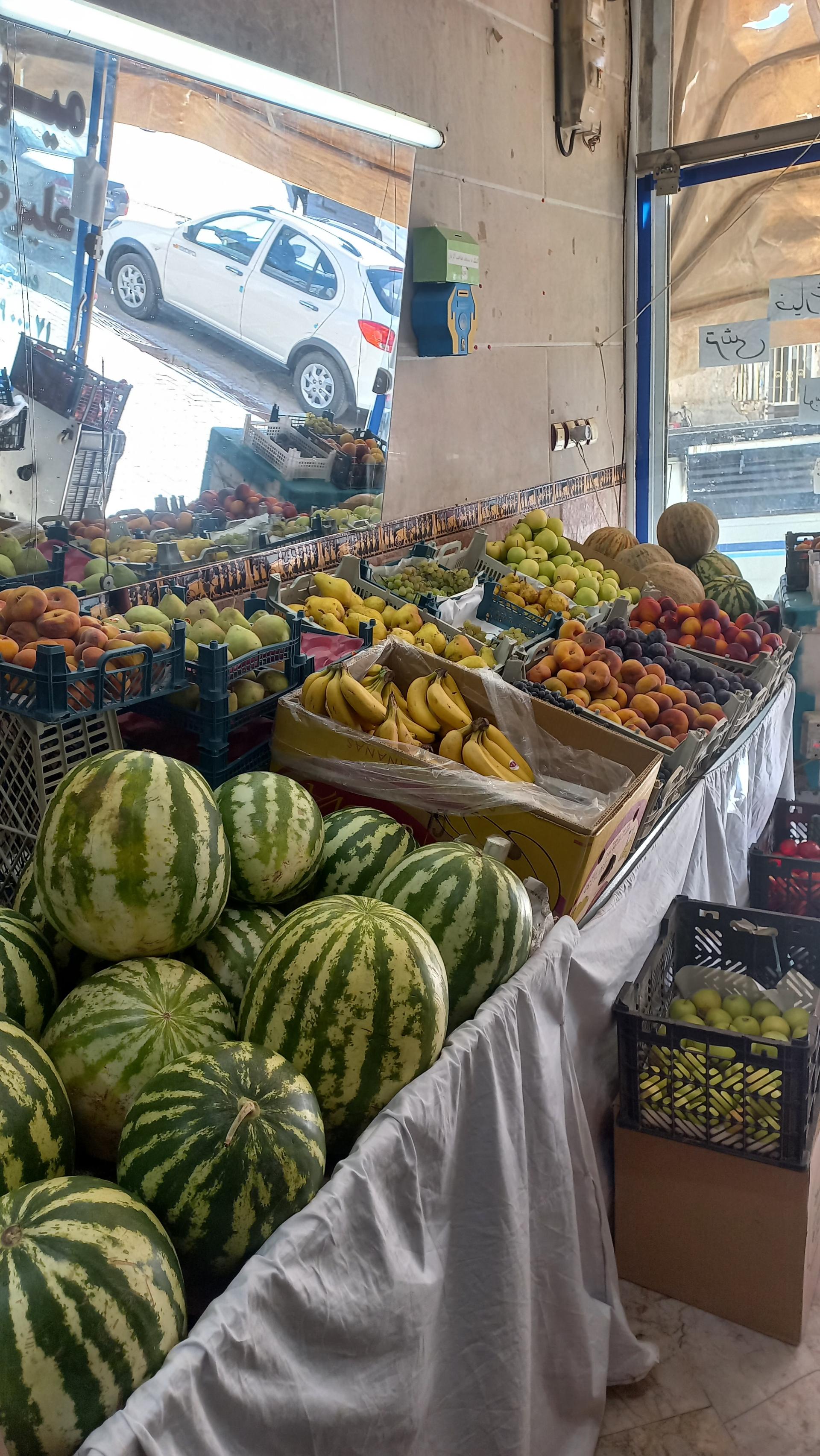 عکس میوه علیرضا