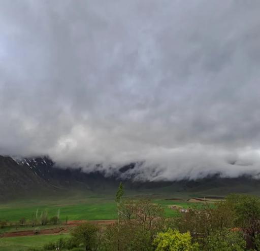 عکس بصری