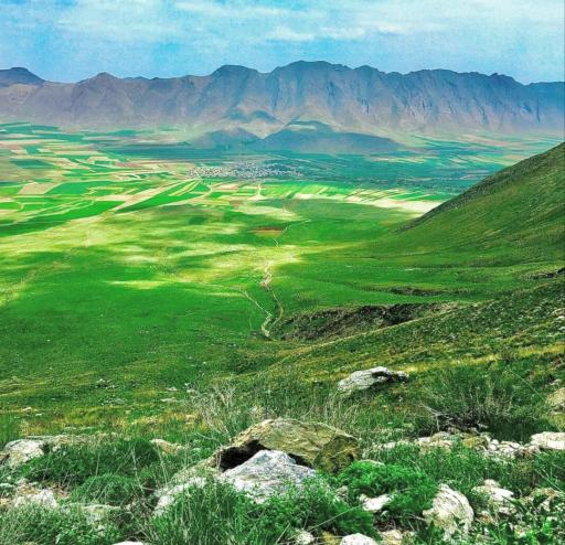 عکس بصری