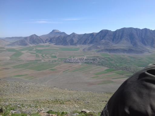 عکس بصری
