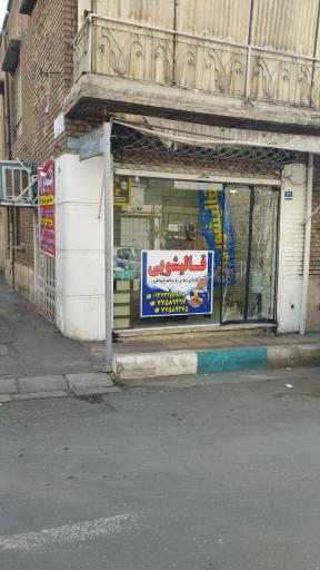 عکس قالیشویی تنسل