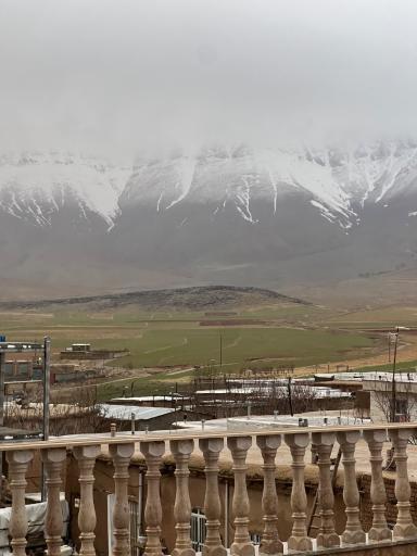 عکس بصری