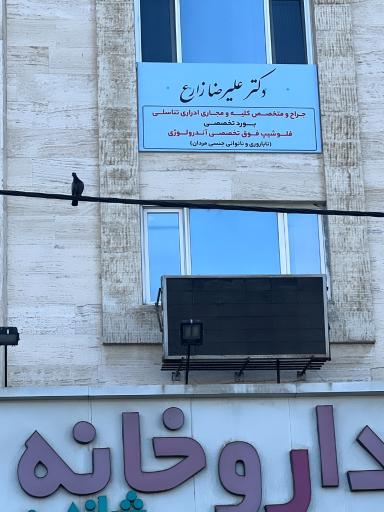 عکس دکتر علیرضا زارع