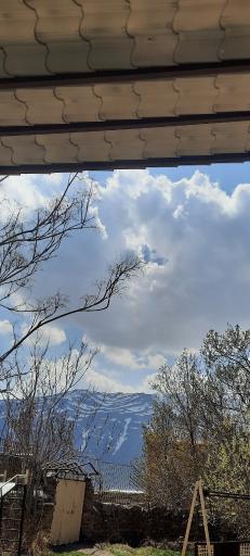 عکس بصری