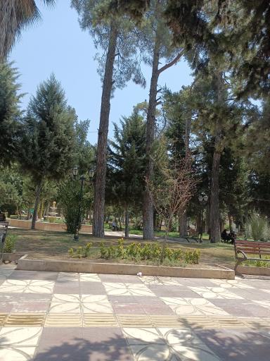 عکس پارک شهر