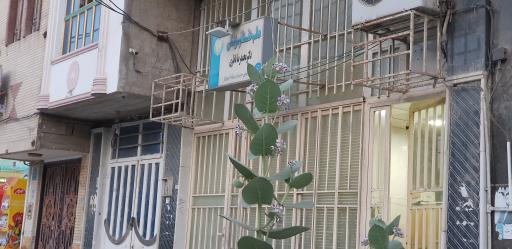 مطب دندانپزشکی محمد رضا ناظری 