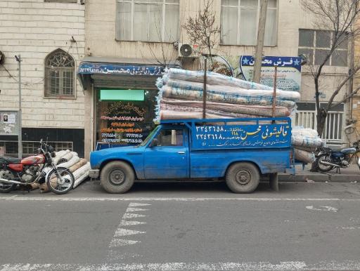 عکس قالیشوئی محسن