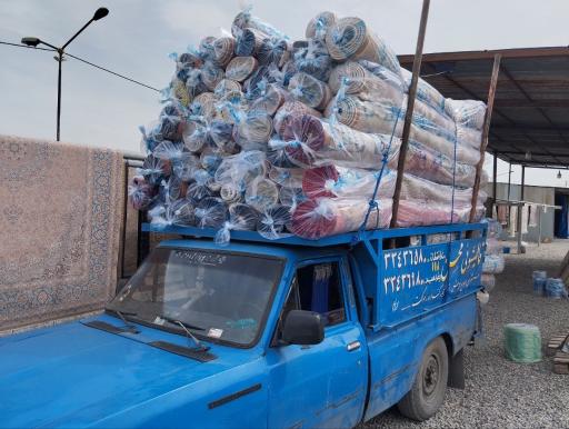 عکس قالیشوئی محسن