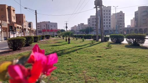 عکس فضای سبز استادان