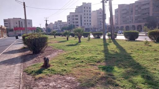 عکس فضای سبز استادان