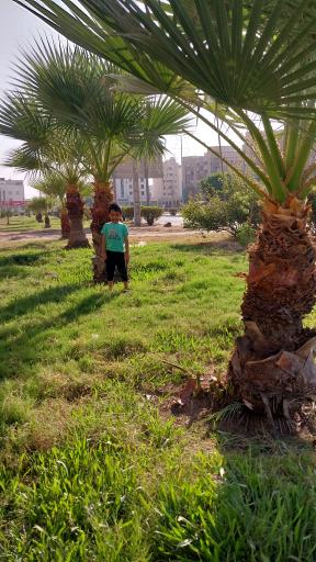 عکس فضای سبز استادان