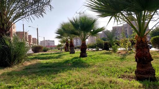 عکس فضای سبز استادان