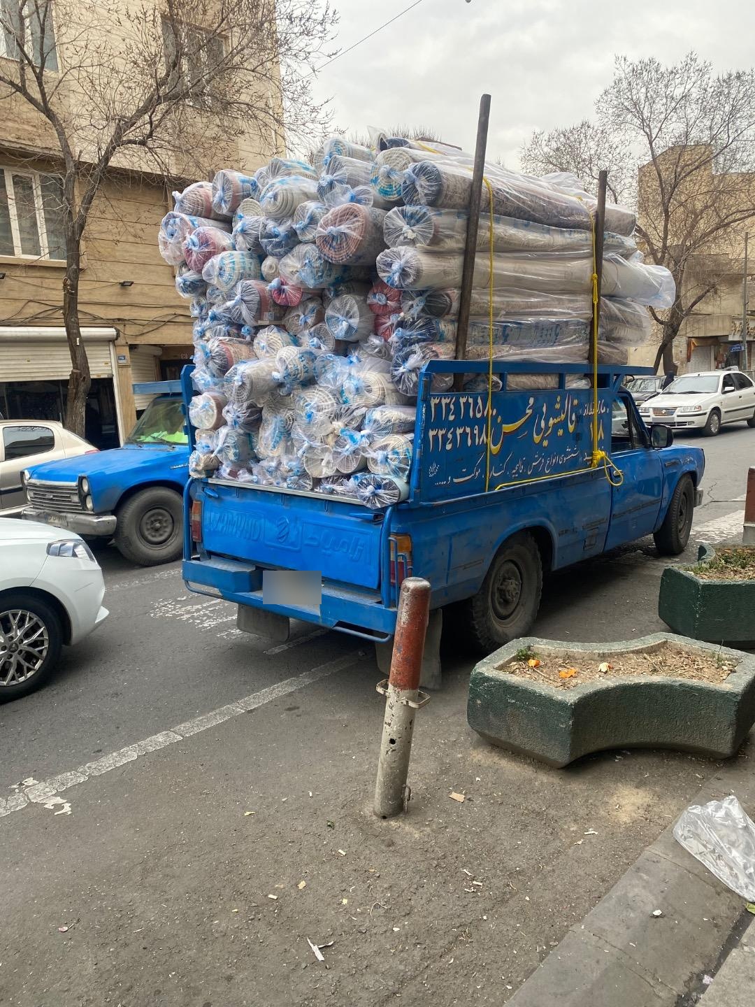 عکس قالیشوئی محسن