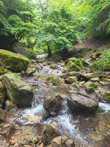 عکس آبشار شار شار