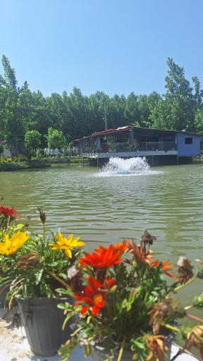 عکس کافه سنتی جزیره