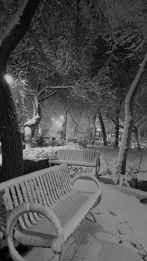 عکس بوستان فهمیده