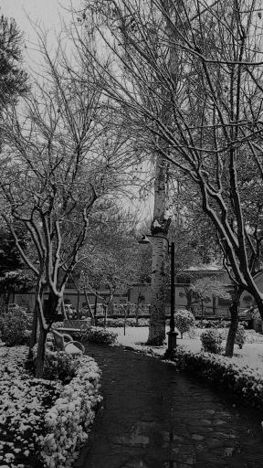 عکس بوستان فهمیده