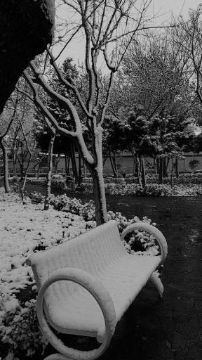 عکس بوستان فهمیده