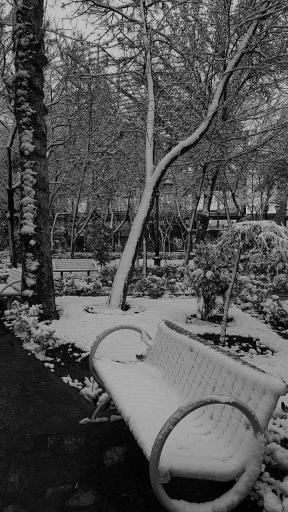 عکس بوستان فهمیده