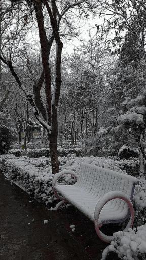 عکس بوستان فهمیده