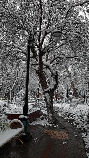 عکس بوستان فهمیده