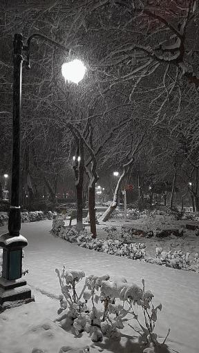 عکس بوستان فهمیده