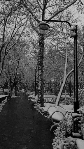 بوستان فهمیده