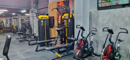 باشگاه بدنسازی آناتومی