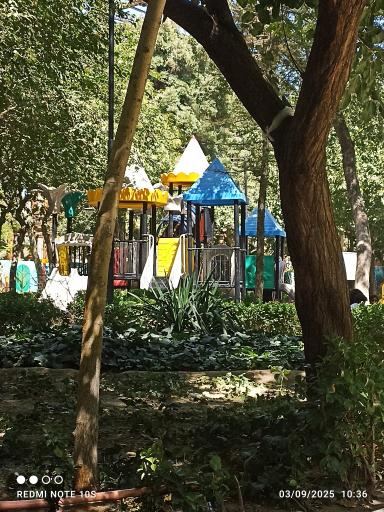 عکس بوستان فهمیده